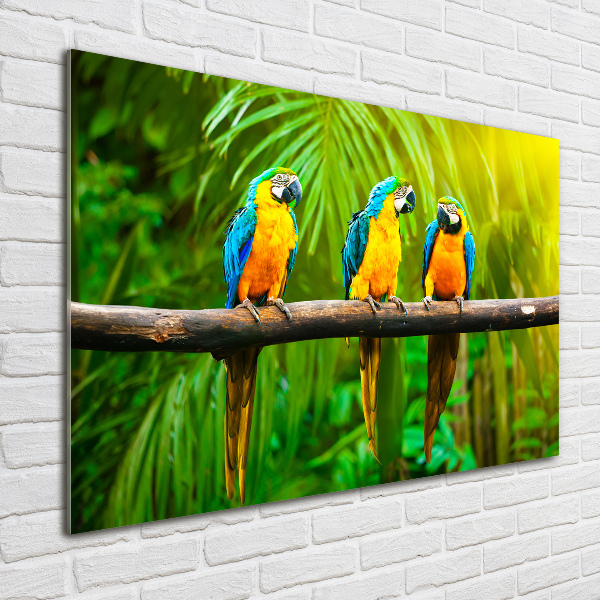 Wall art acrylic Parrots on a branch