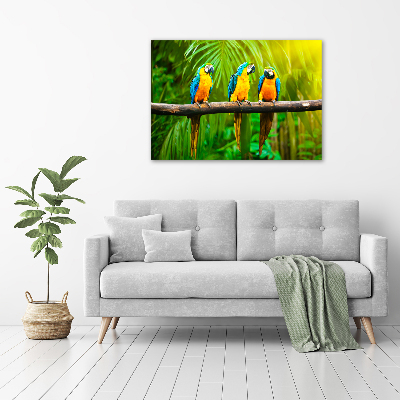 Wall art acrylic Parrots on a branch