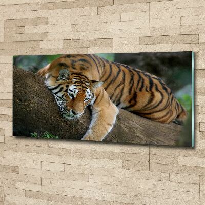 Wall art acrylic Tiger on a tree