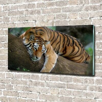 Wall art acrylic Tiger on a tree