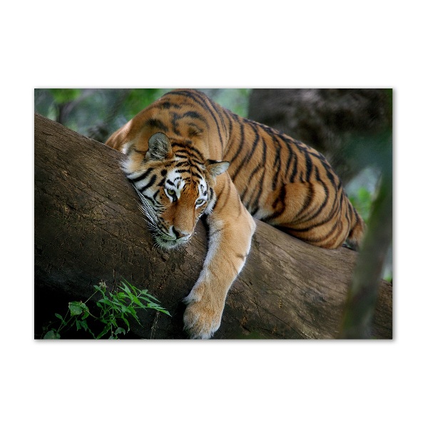 Wall art acrylic Tiger on a tree