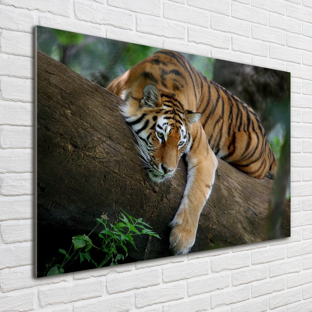 Wall art acrylic Tiger on a tree