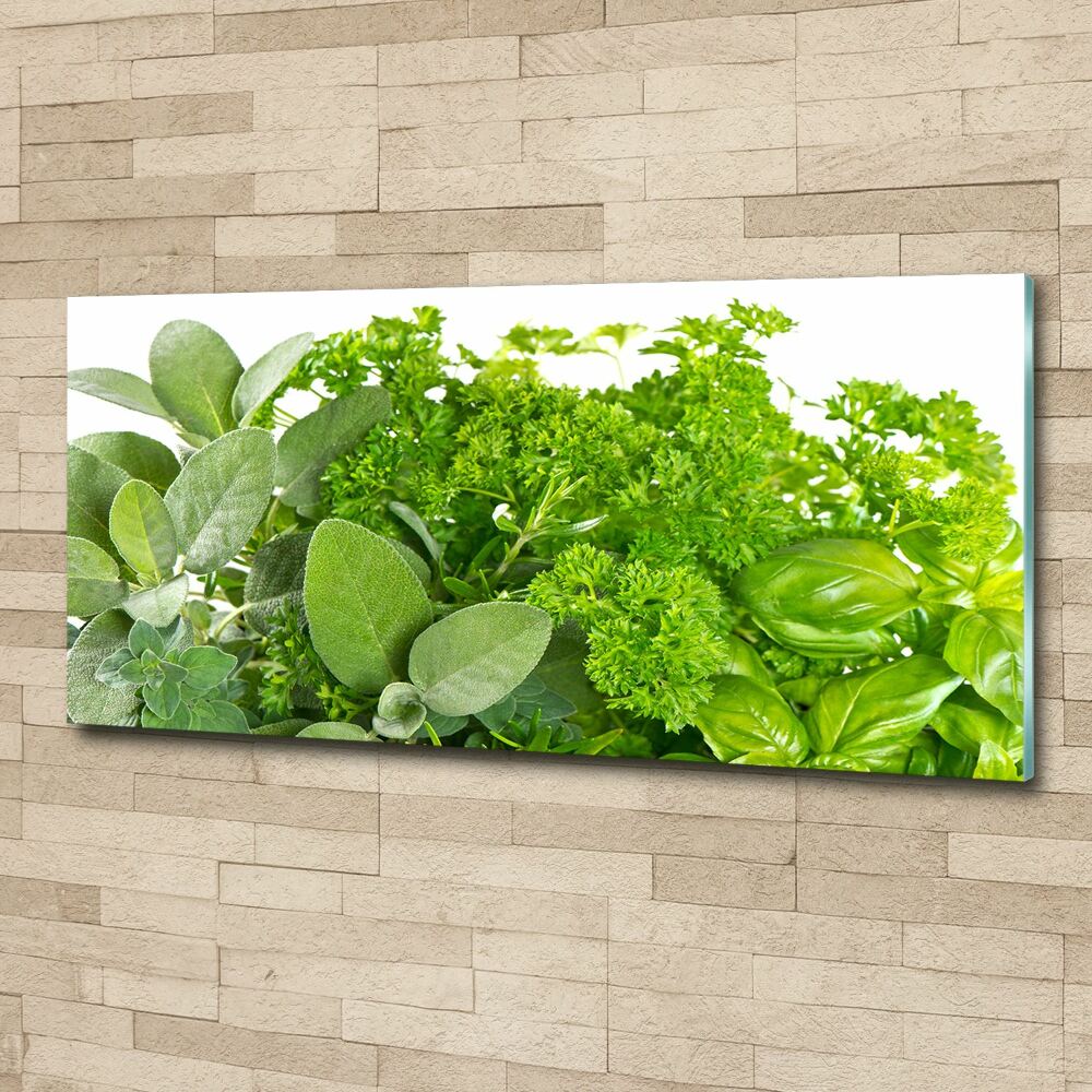 Acrylic wall art Herbs