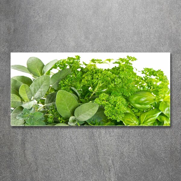 Acrylic wall art Herbs