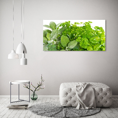 Acrylic wall art Herbs