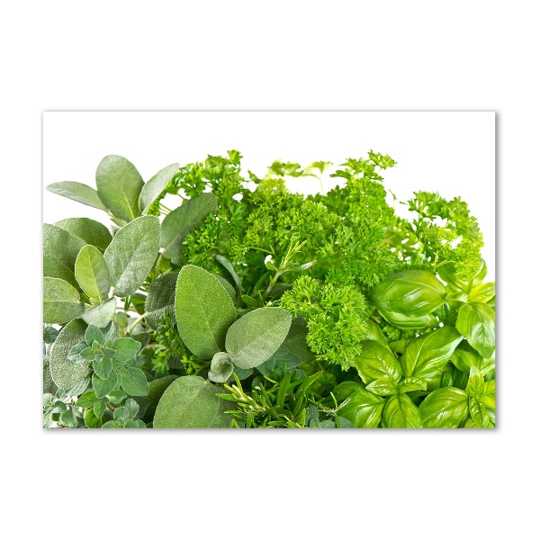 Acrylic wall art Herbs