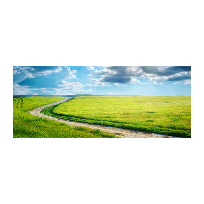 Wall art acrylic Path in the meadow