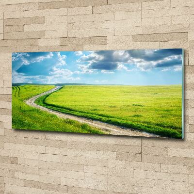 Wall art acrylic Path in the meadow