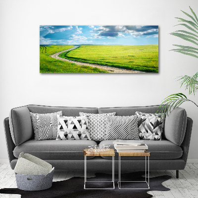 Wall art acrylic Path in the meadow