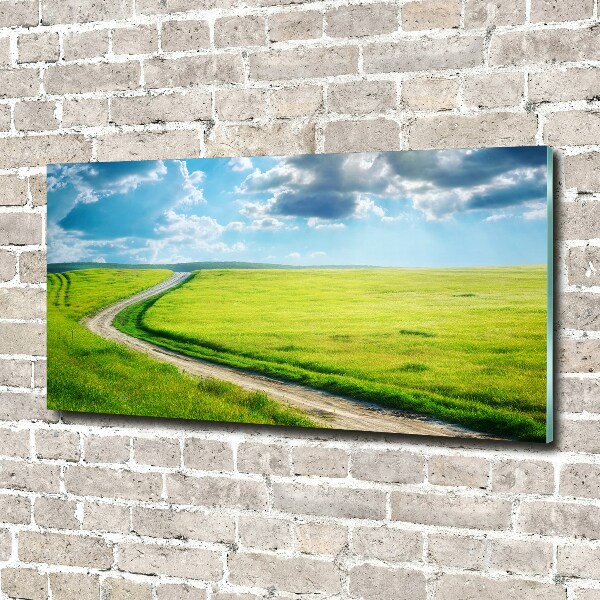 Wall art acrylic Path in the meadow