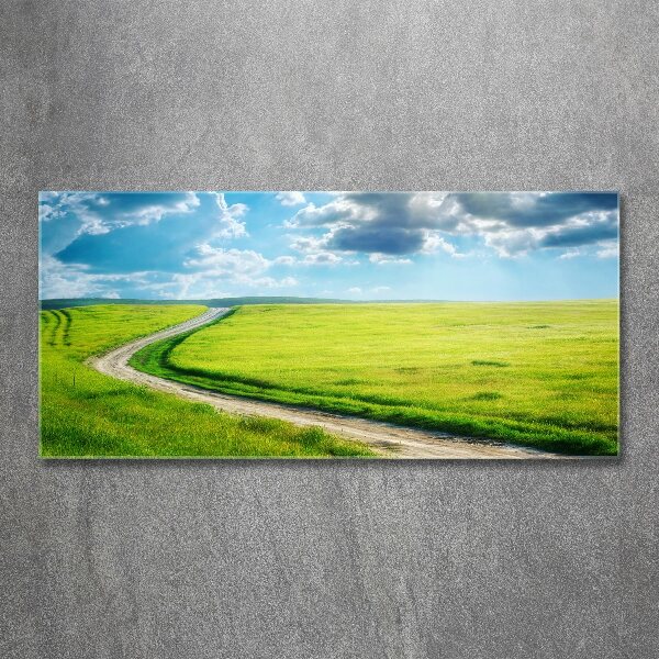 Wall art acrylic Path in the meadow