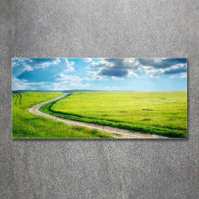 Wall art acrylic Path in the meadow