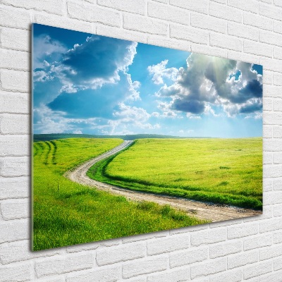 Wall art acrylic Path in the meadow