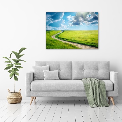 Wall art acrylic Path in the meadow