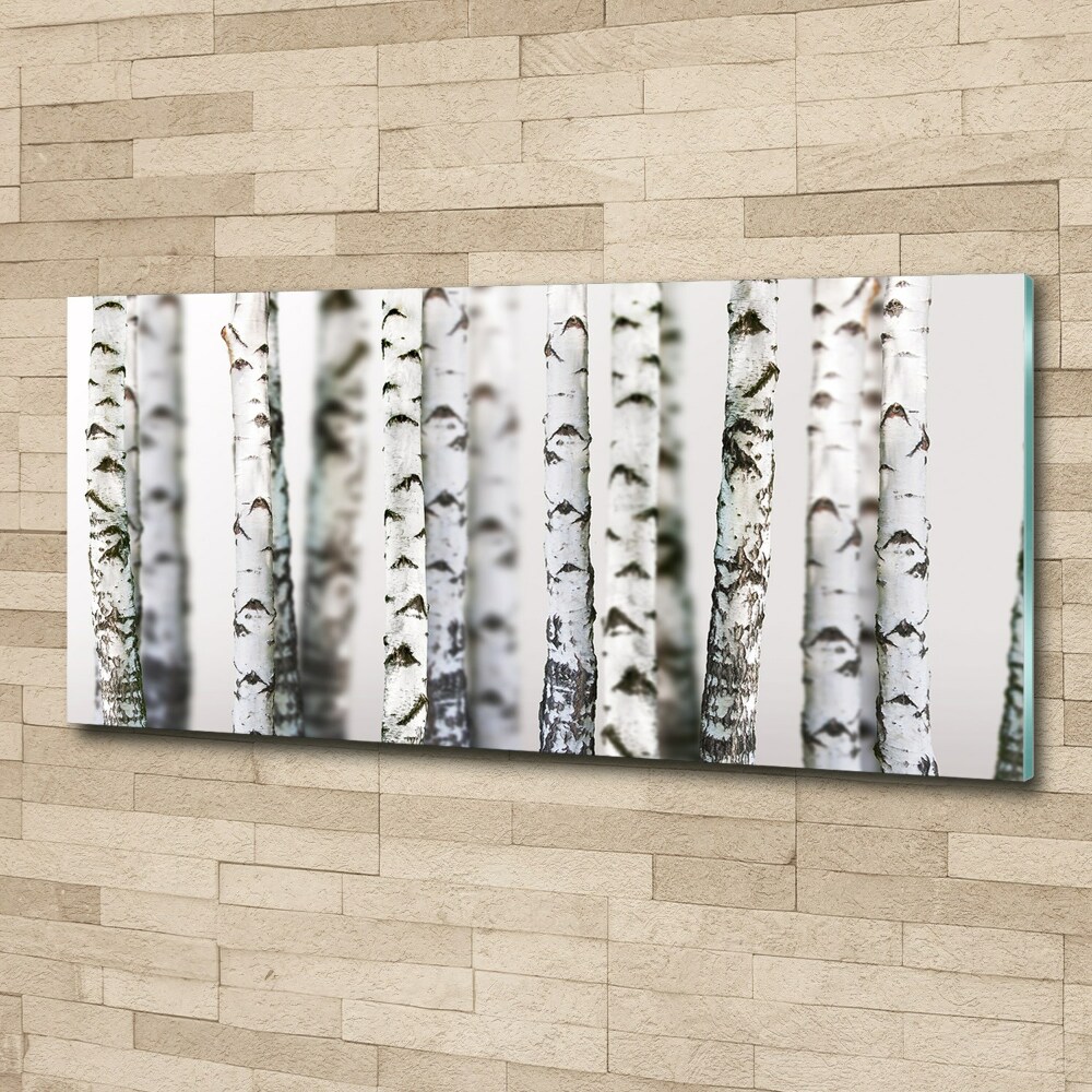 Acrylic print Birch trunks