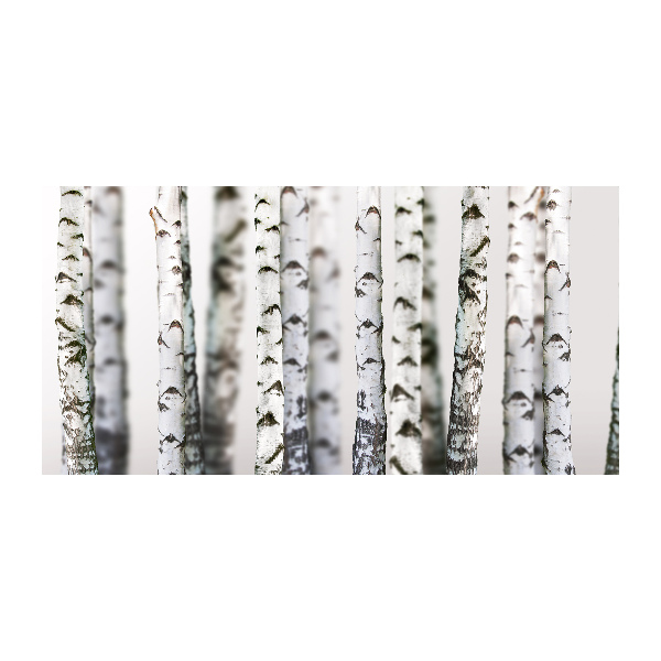 Acrylic print Birch trunks