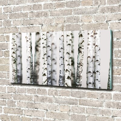 Acrylic print Birch trunks