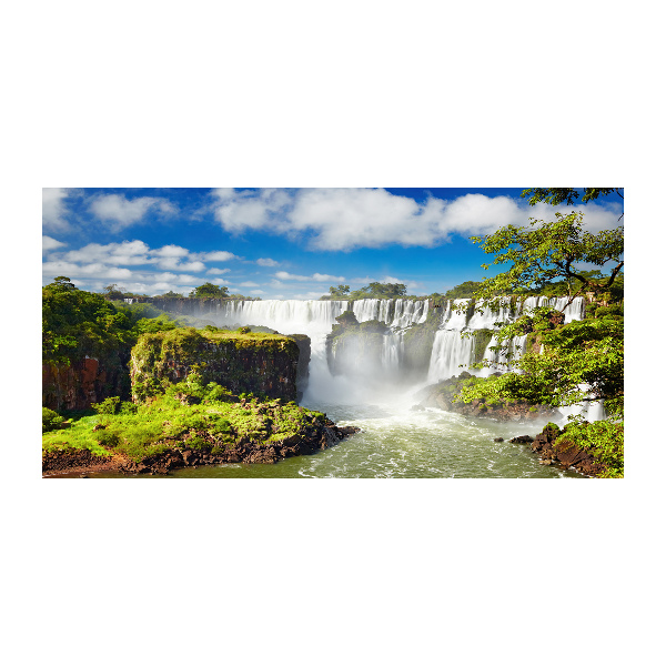 Wall art acrylic Argentina waterfall