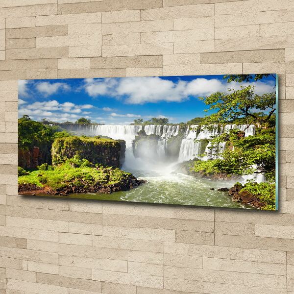 Wall art acrylic Argentina waterfall