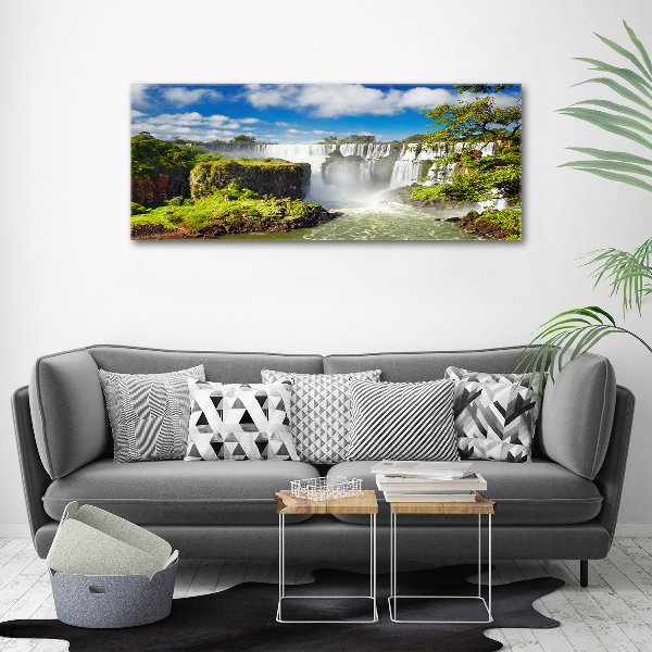 Wall art acrylic Argentina waterfall