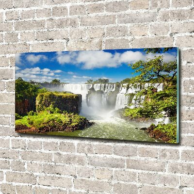 Wall art acrylic Argentina waterfall