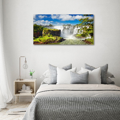 Wall art acrylic Argentina waterfall