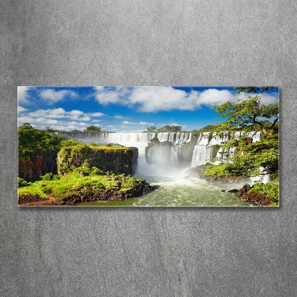 Wall art acrylic Argentina waterfall