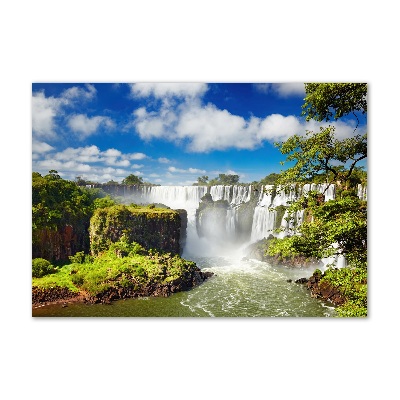 Wall art acrylic Argentina waterfall