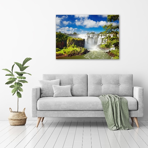 Wall art acrylic Argentina waterfall