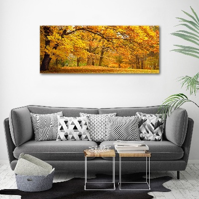 Print on acrylic Autumn in the park