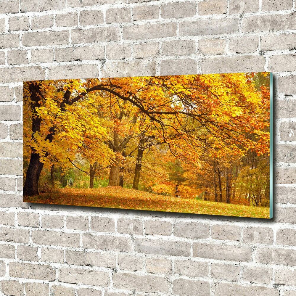 Print on acrylic Autumn in the park