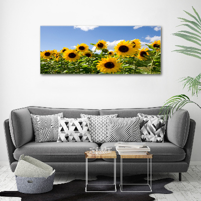 Acrylic print Sunflowers