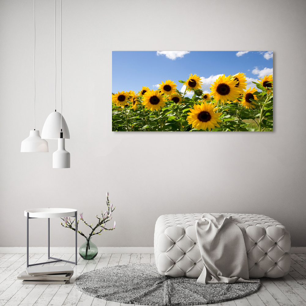 Acrylic print Sunflowers