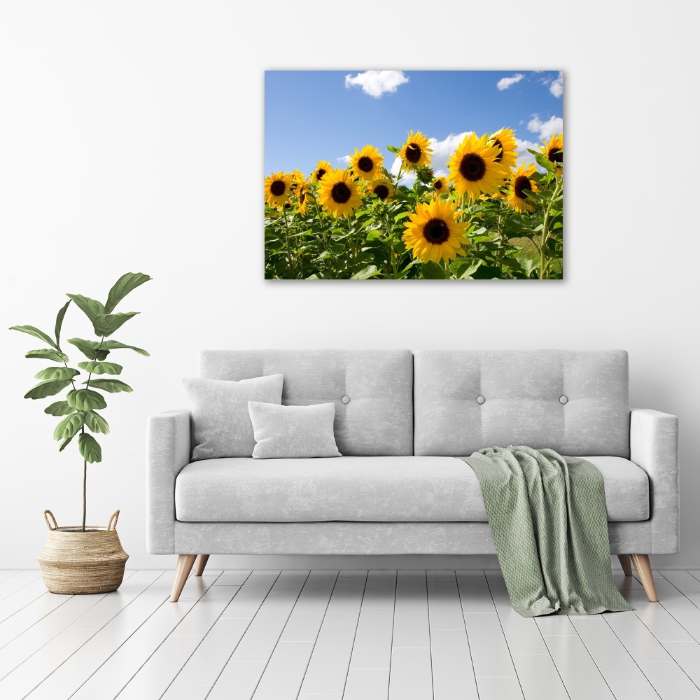 Acrylic print Sunflowers