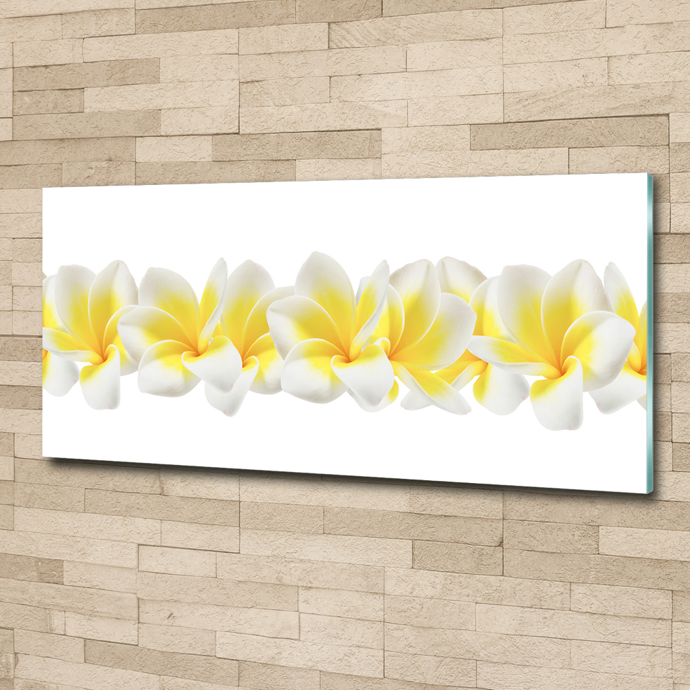 Print on acrylic Plumeria