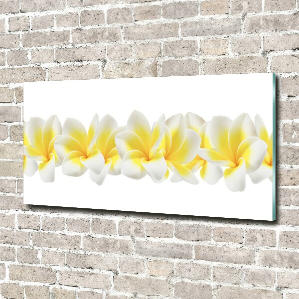 Print on acrylic Plumeria