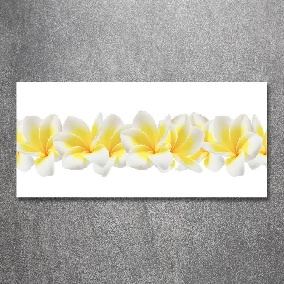 Print on acrylic Plumeria