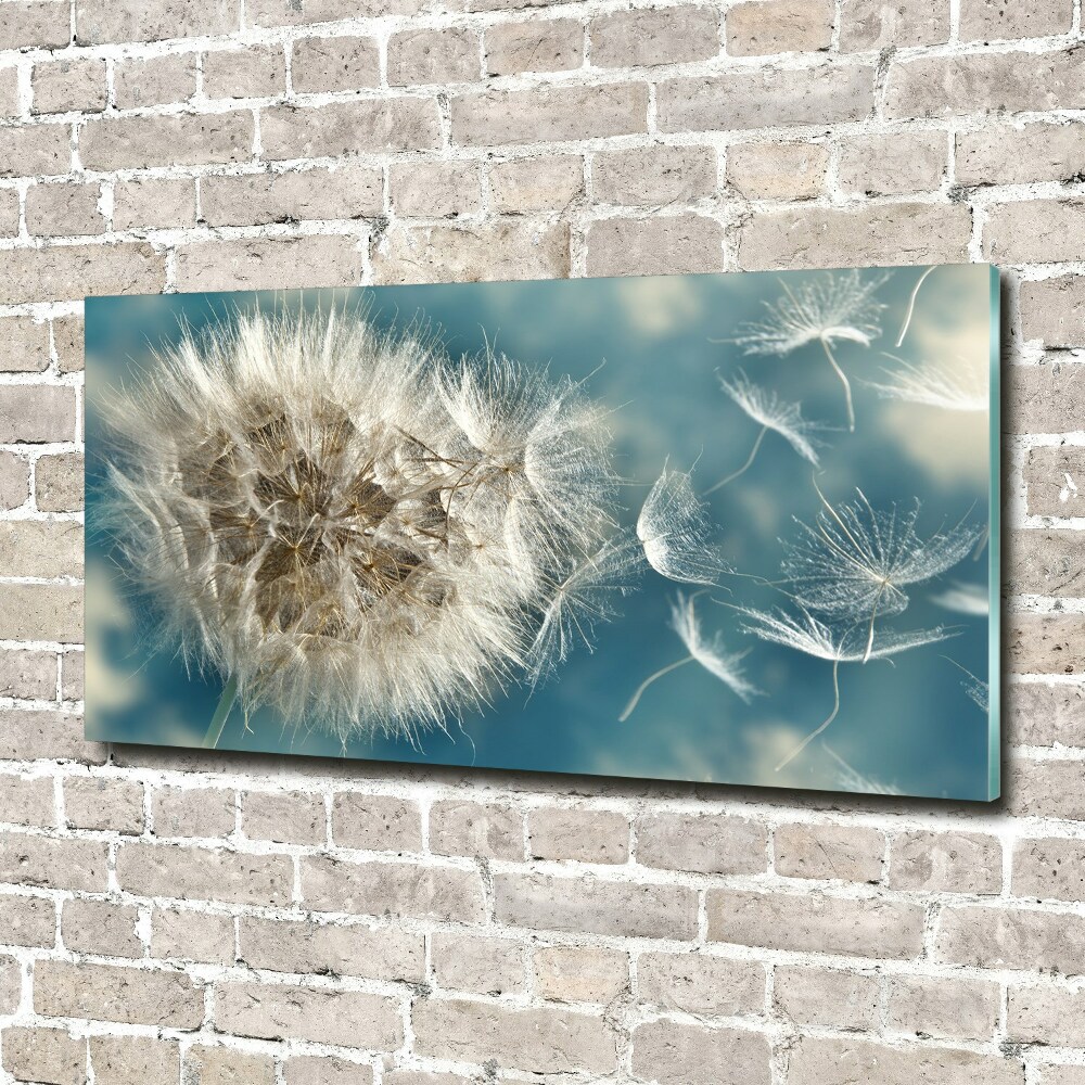 Print on acrylic dandelions