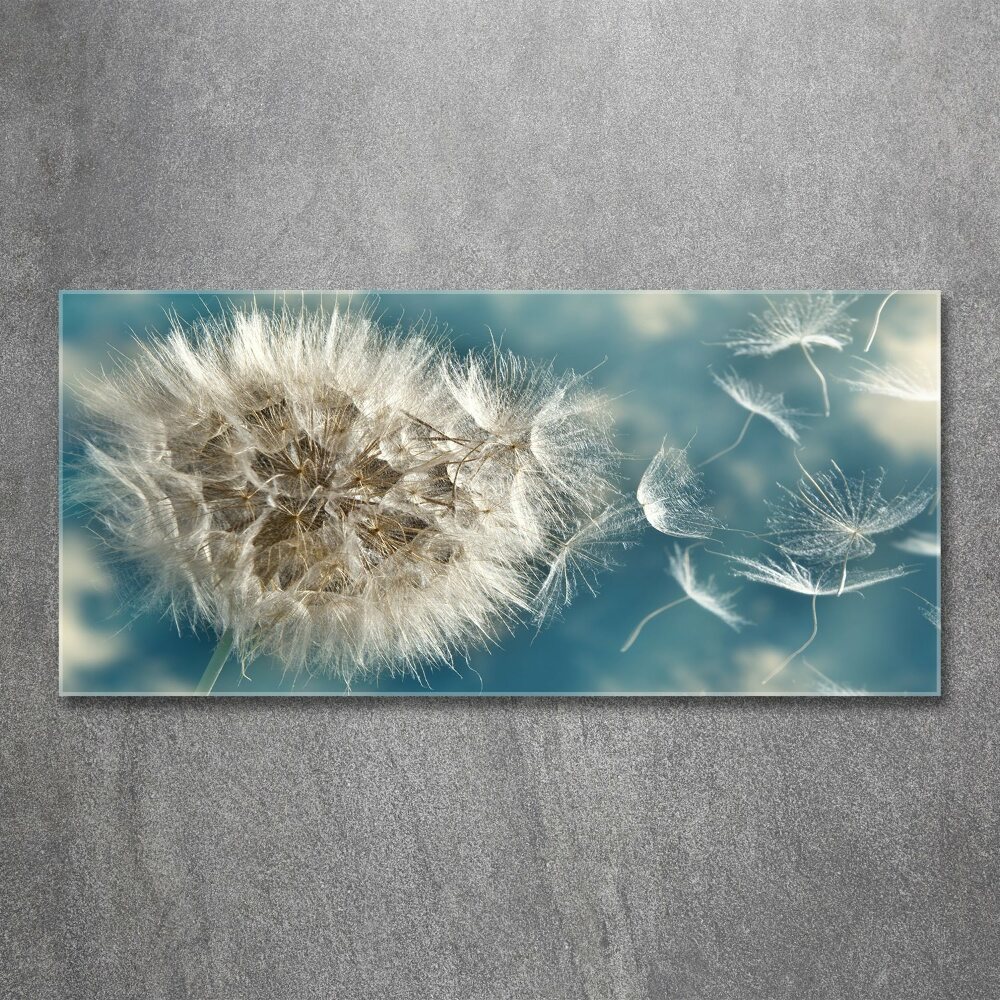 Print on acrylic dandelions