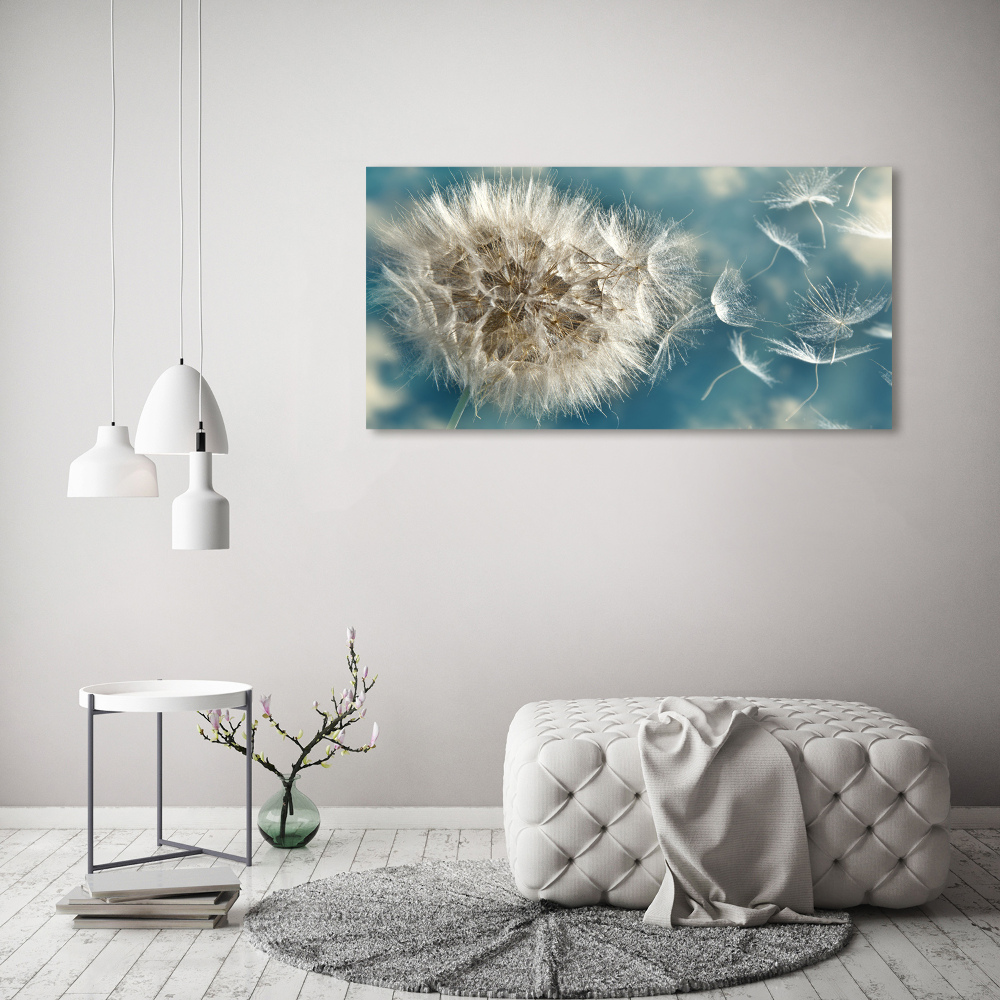 Print on acrylic dandelions