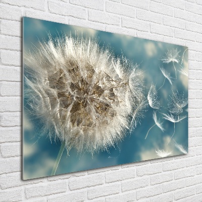 Print on acrylic dandelions