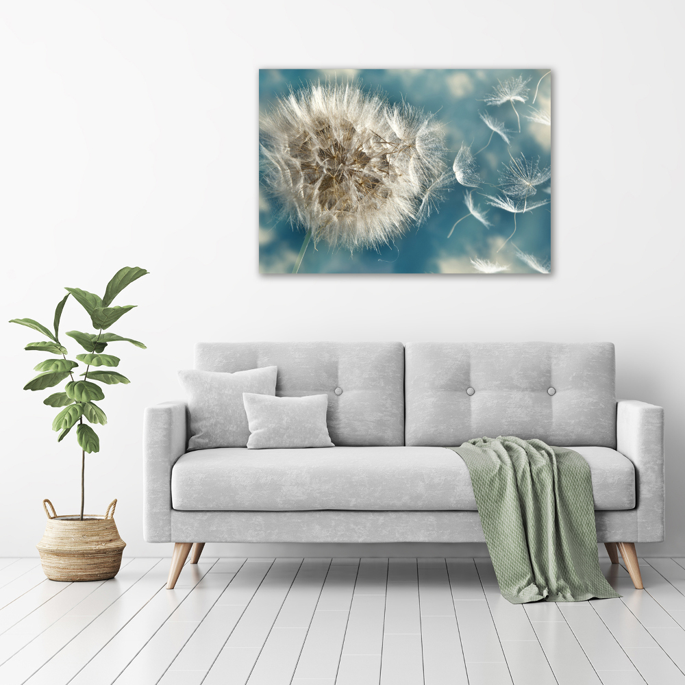 Print on acrylic dandelions