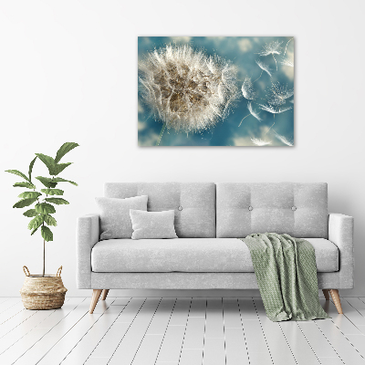 Print on acrylic dandelions