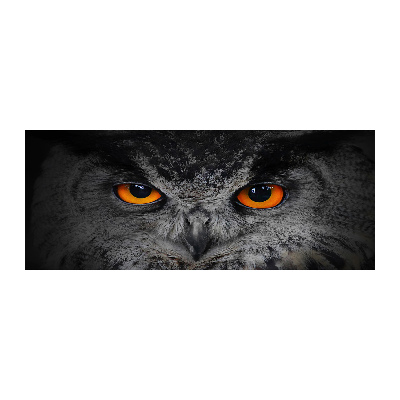 Acrylic wall art Owl devilish eyes