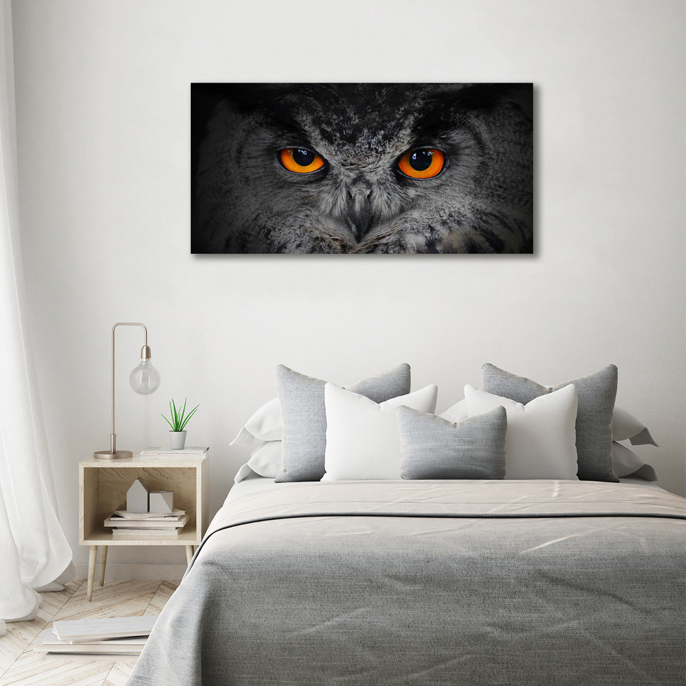 Acrylic wall art Owl devilish eyes