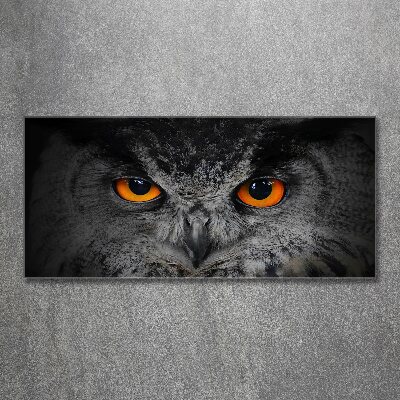 Acrylic wall art Owl devilish eyes