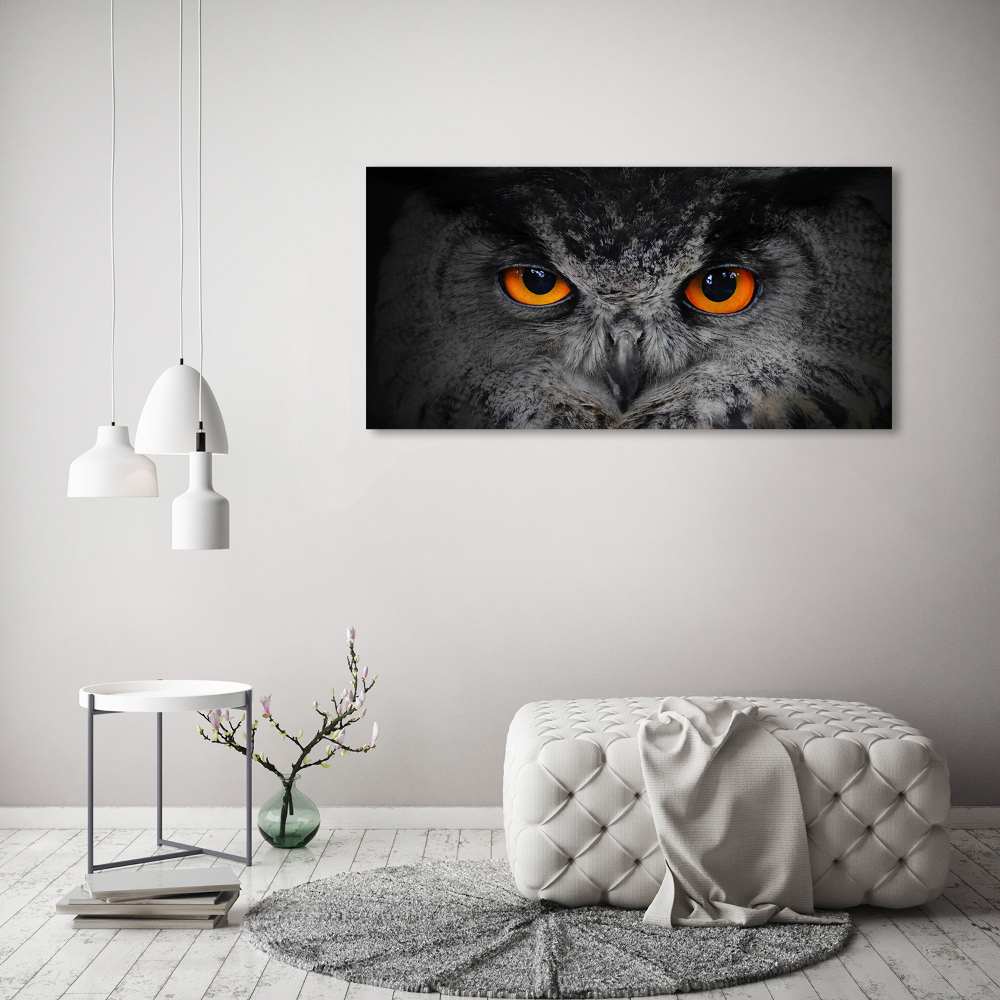 Acrylic wall art Owl devilish eyes