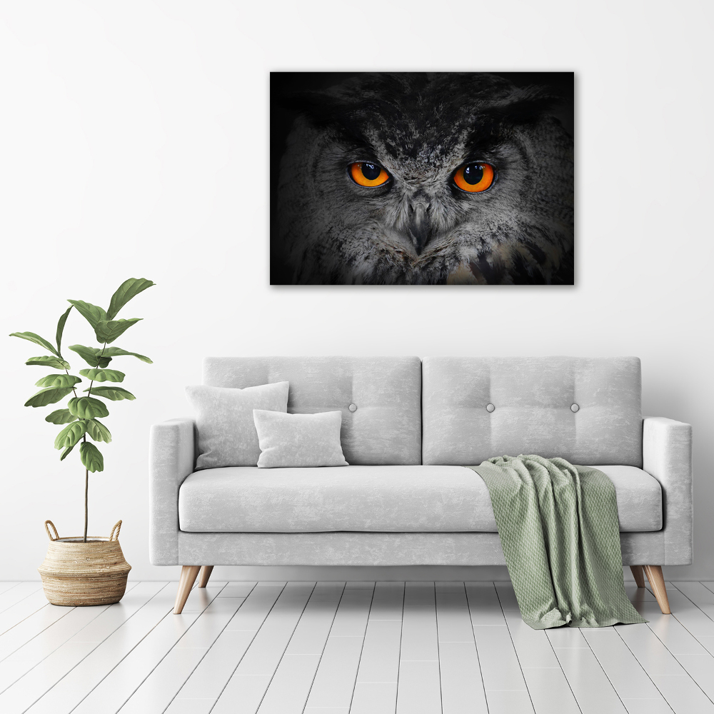 Acrylic wall art Owl devilish eyes