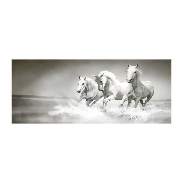 Acrylic print White horses