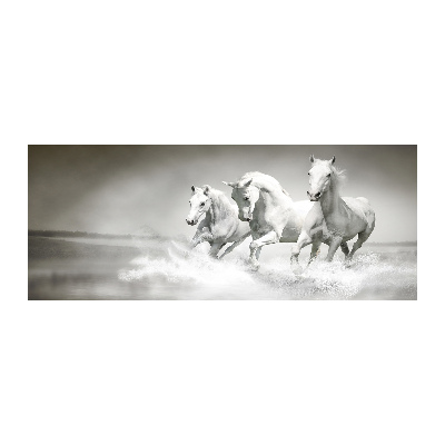 Acrylic print White horses